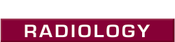 zwanger-pesiri-logo